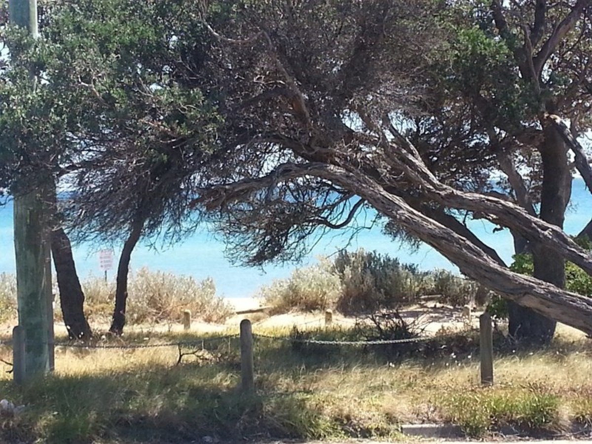502 A Esplanade, Mount Martha - Thumbnail 3