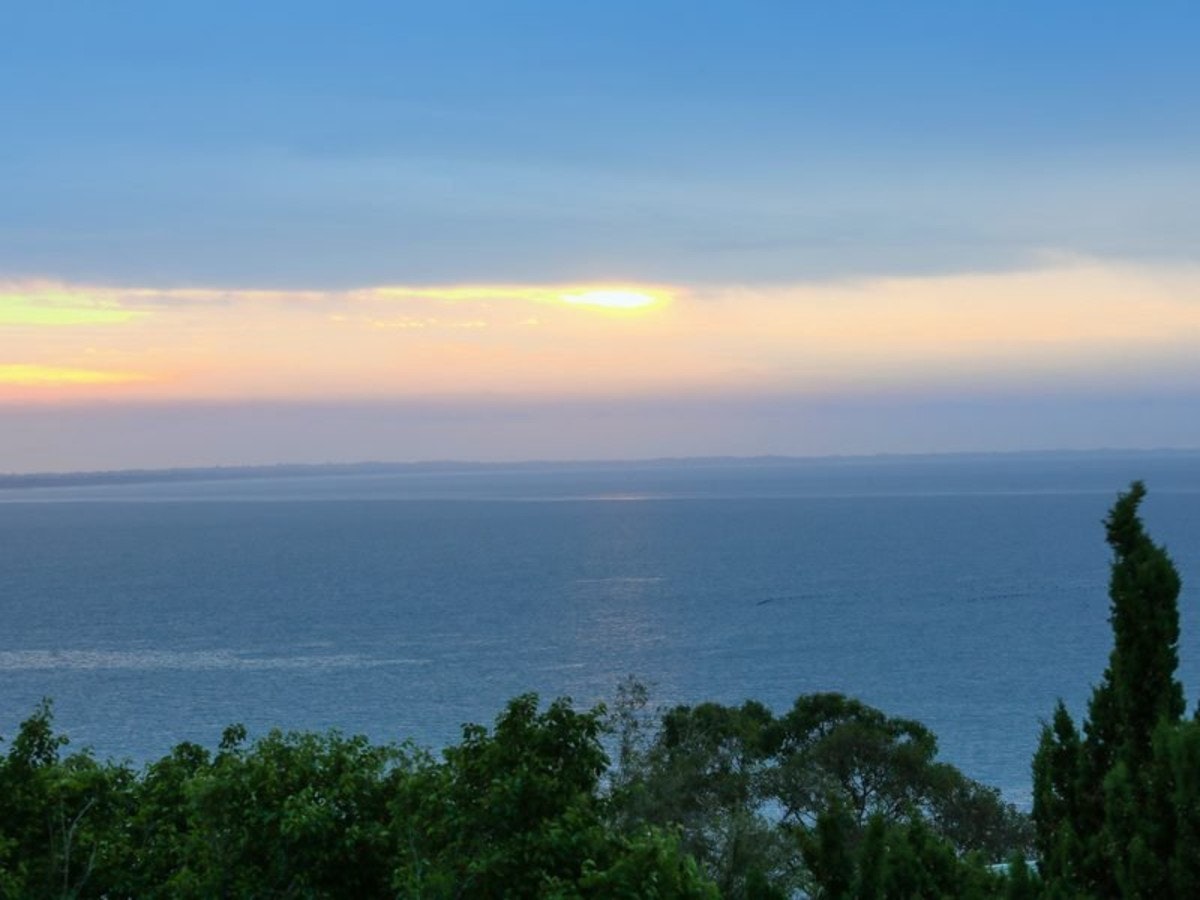 Image of nature