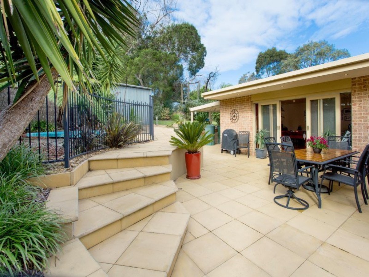 Image of backyard