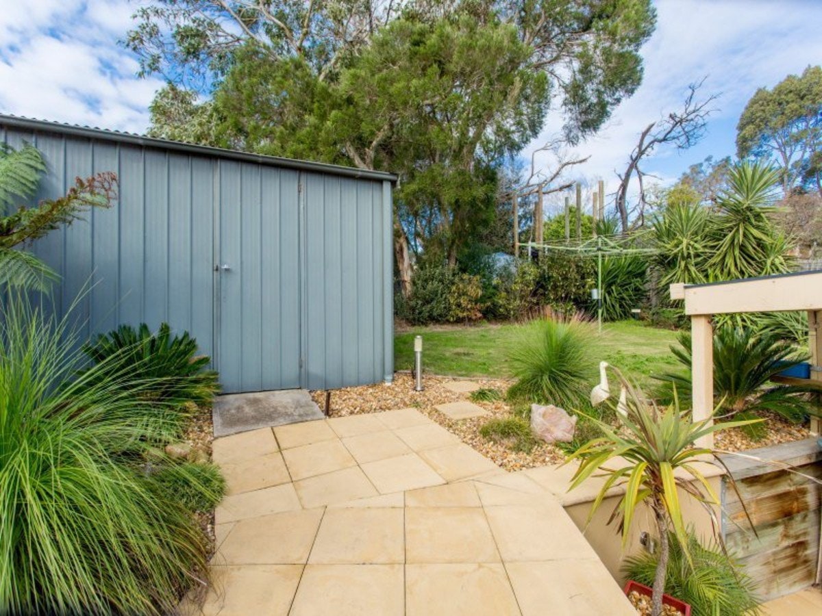 Image of backyard