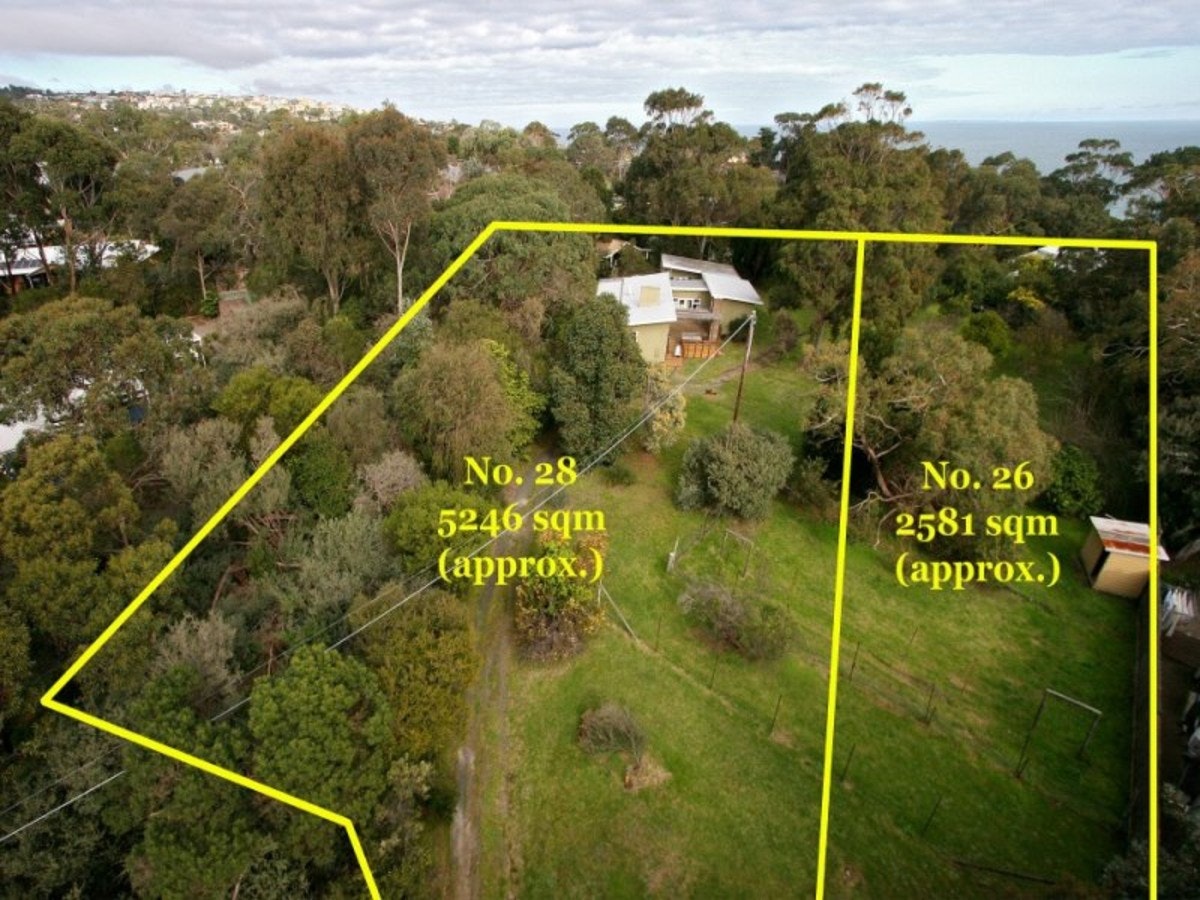 Image of vegetation