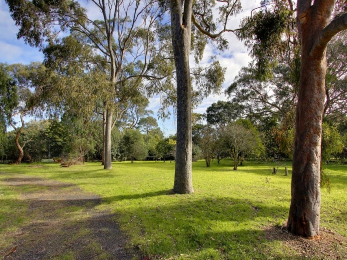Image of grass