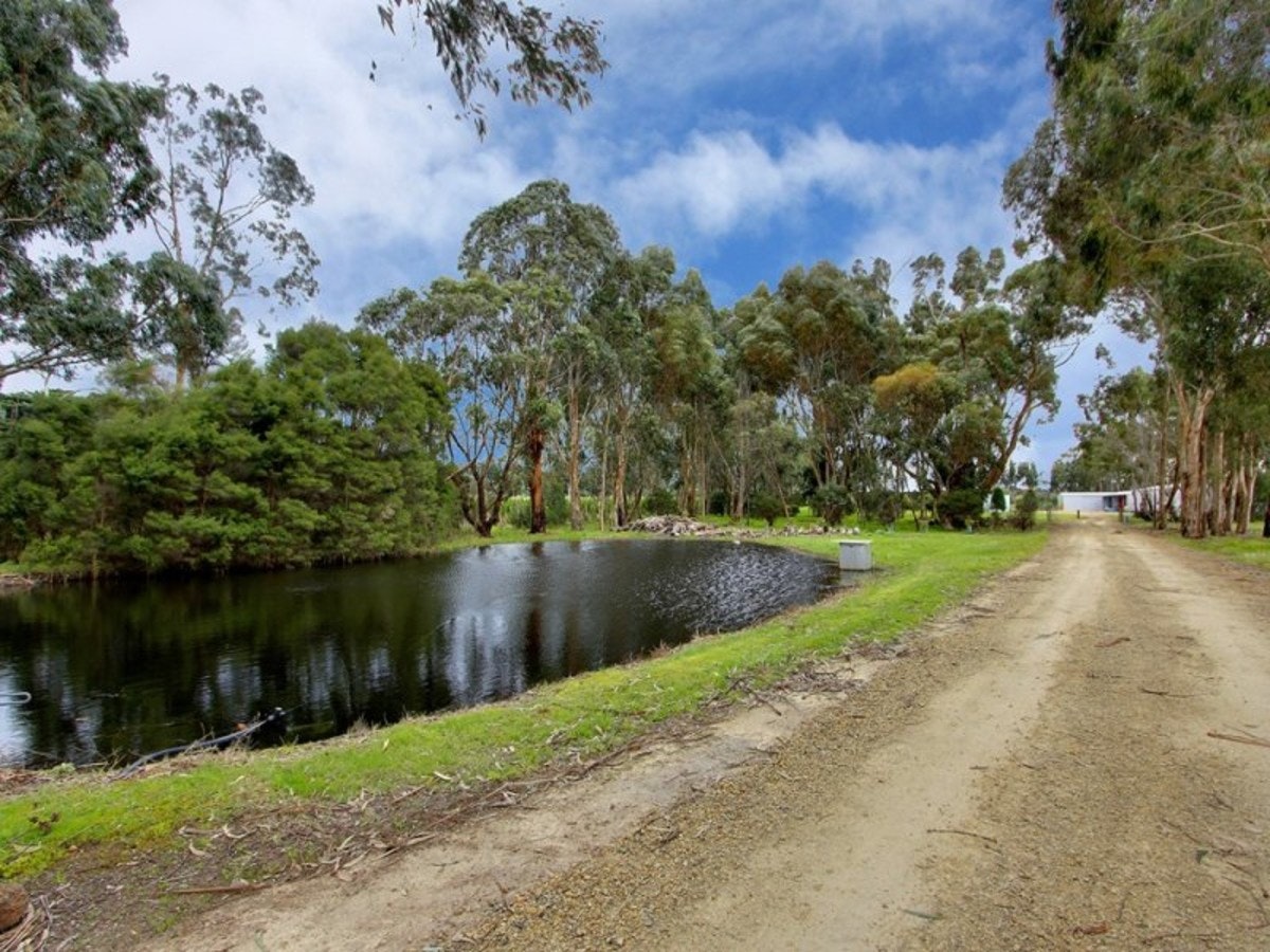Image of path