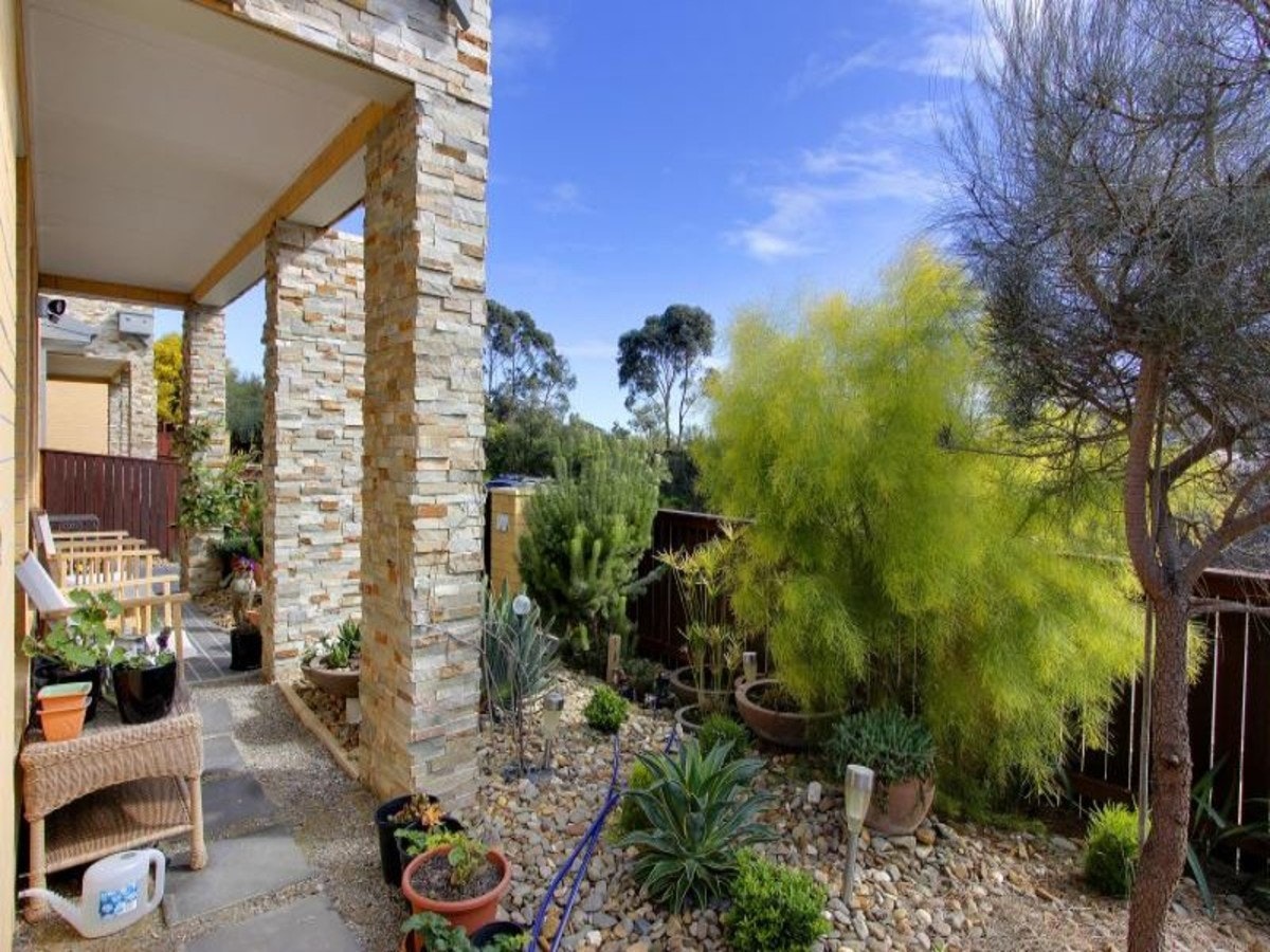 Image of backyard