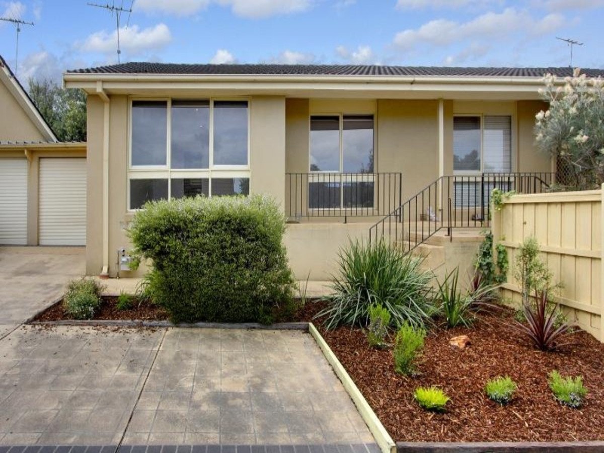 Image of backyard