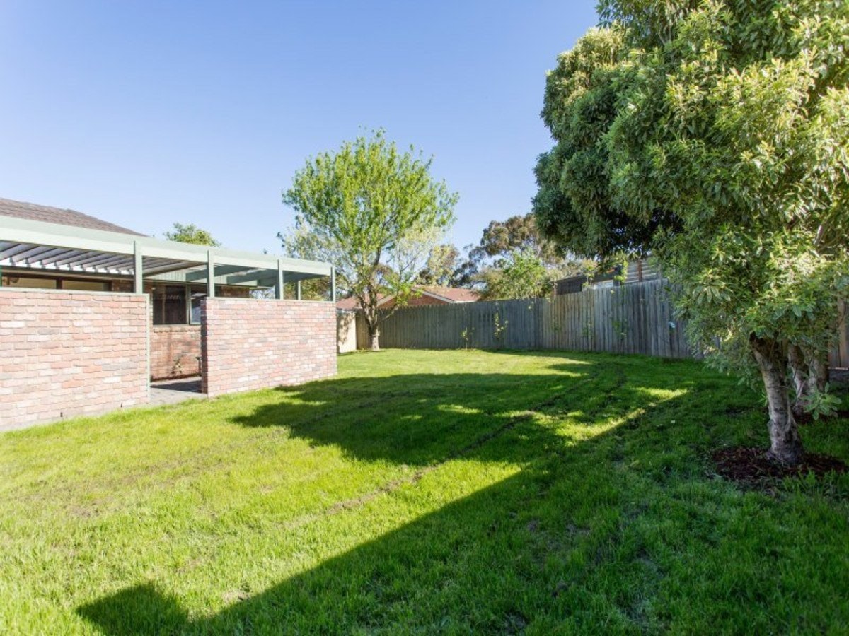 Image of backyard