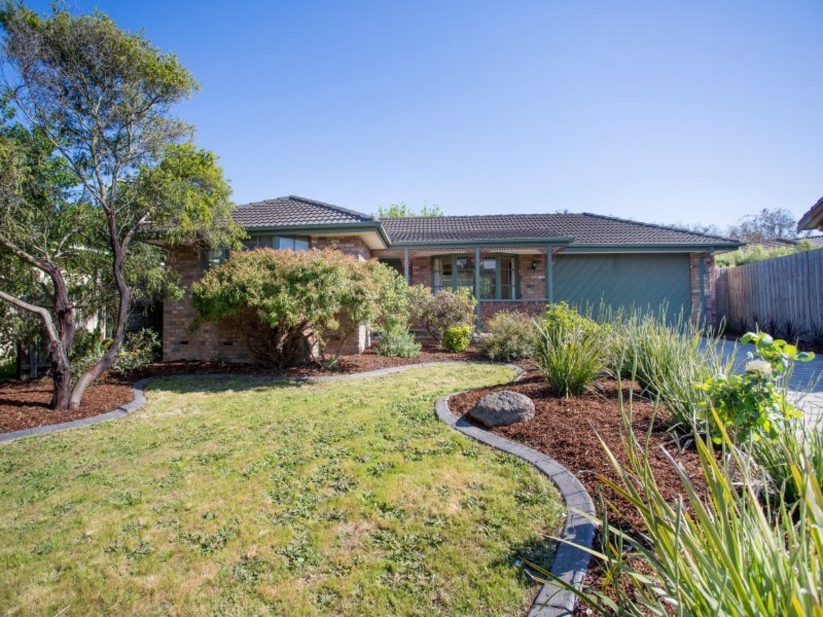 Image of backyard