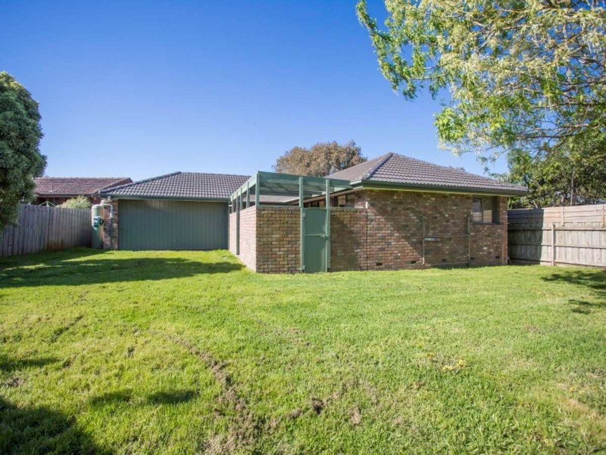 Image of backyard