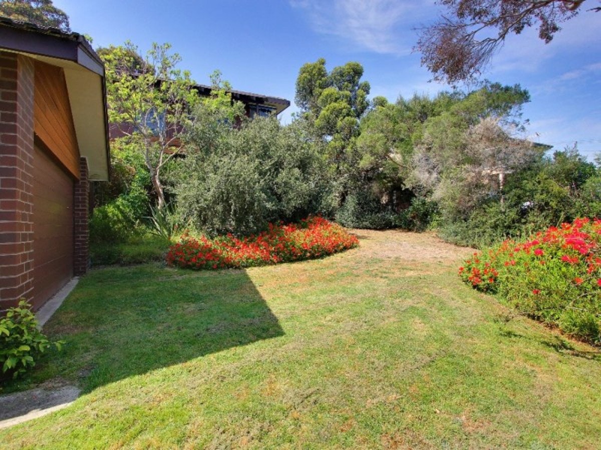 Image of backyard