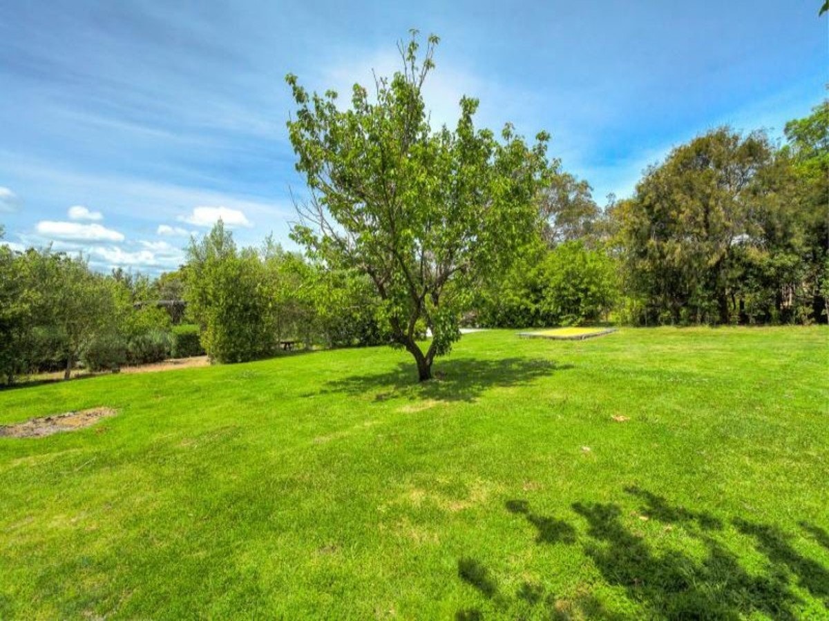 Image of grass