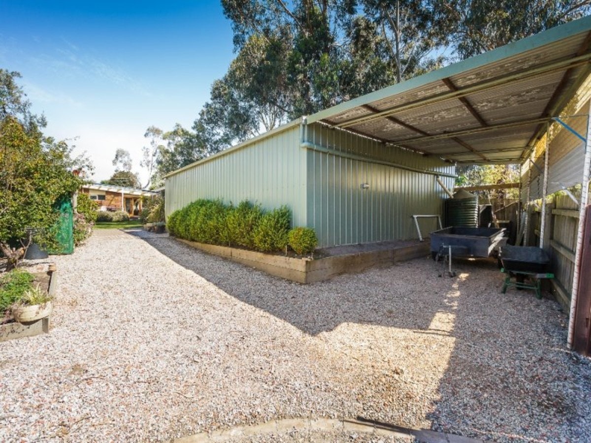 Image of backyard