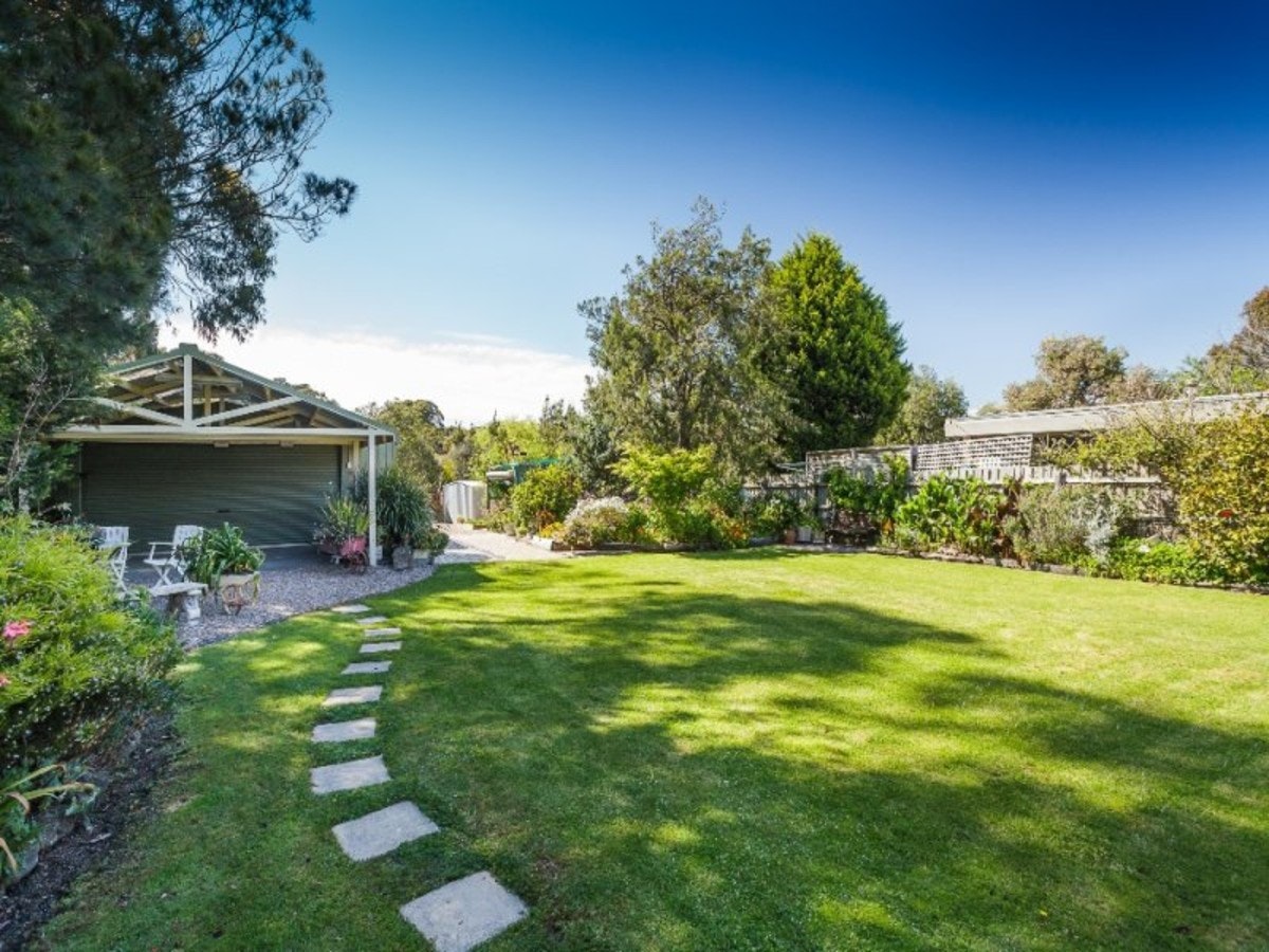 Image of backyard