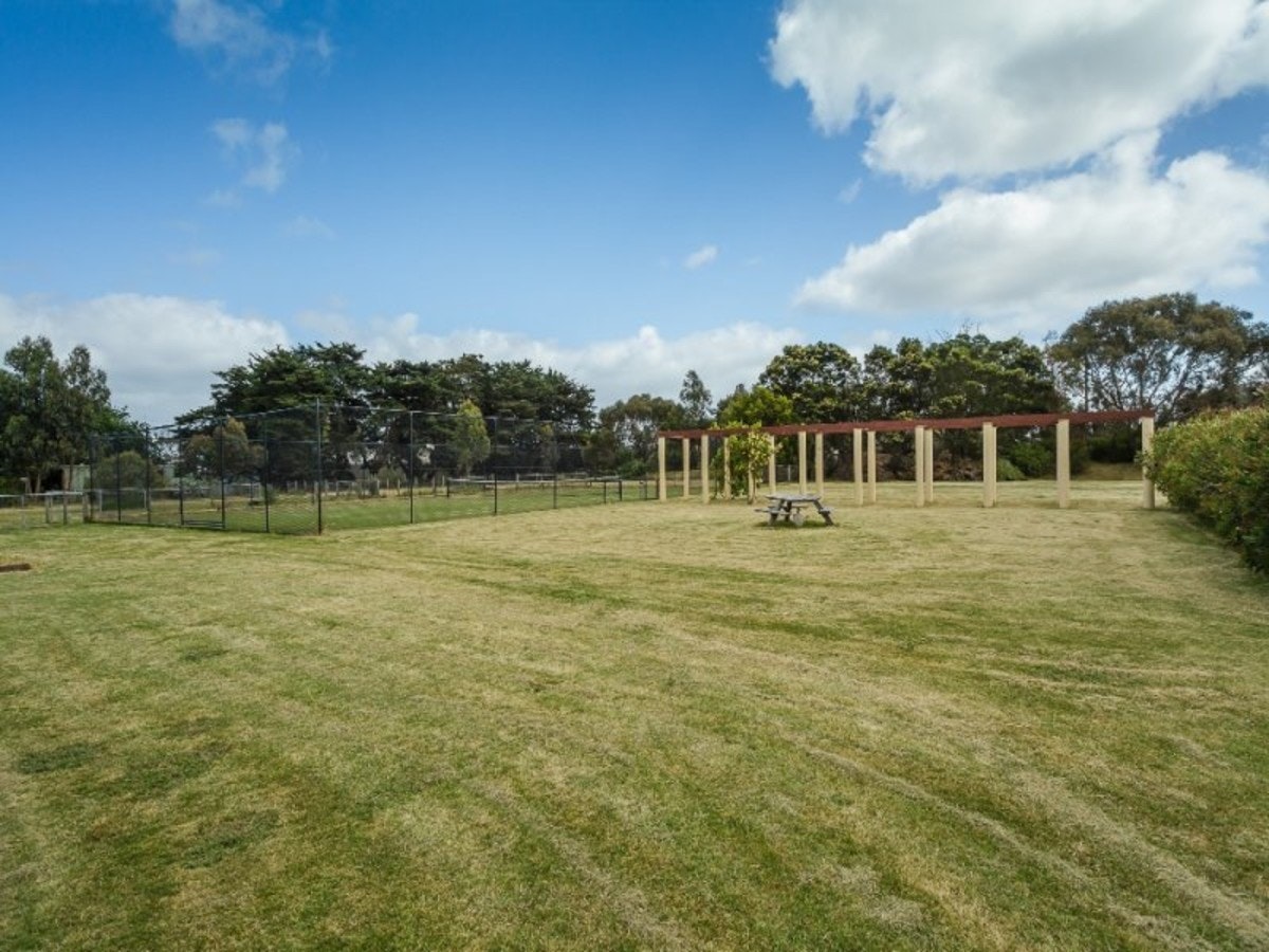 Image of grass