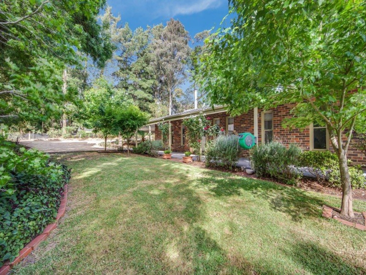 Image of backyard