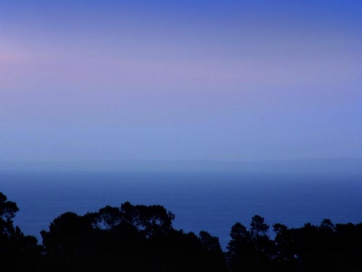 Image of nature