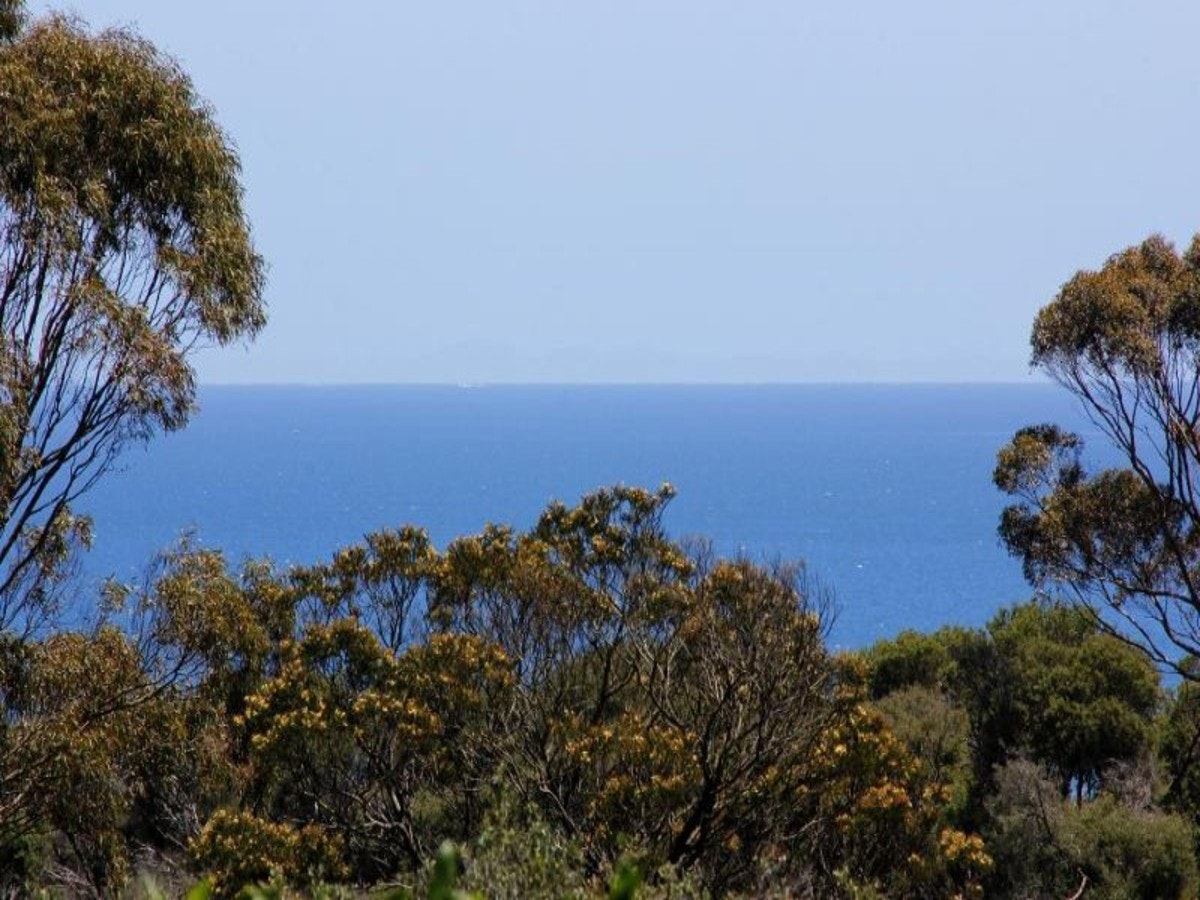 Image of vegetation