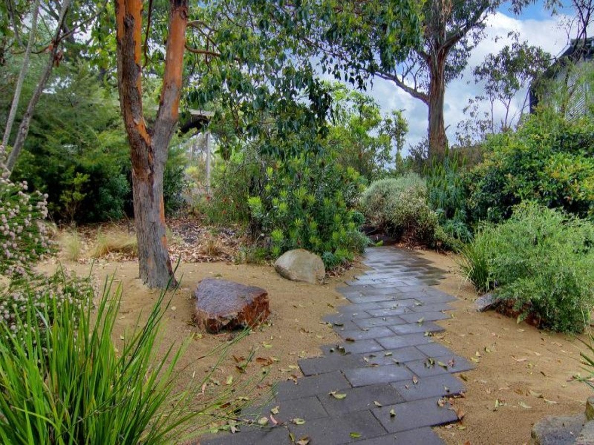 Image of path