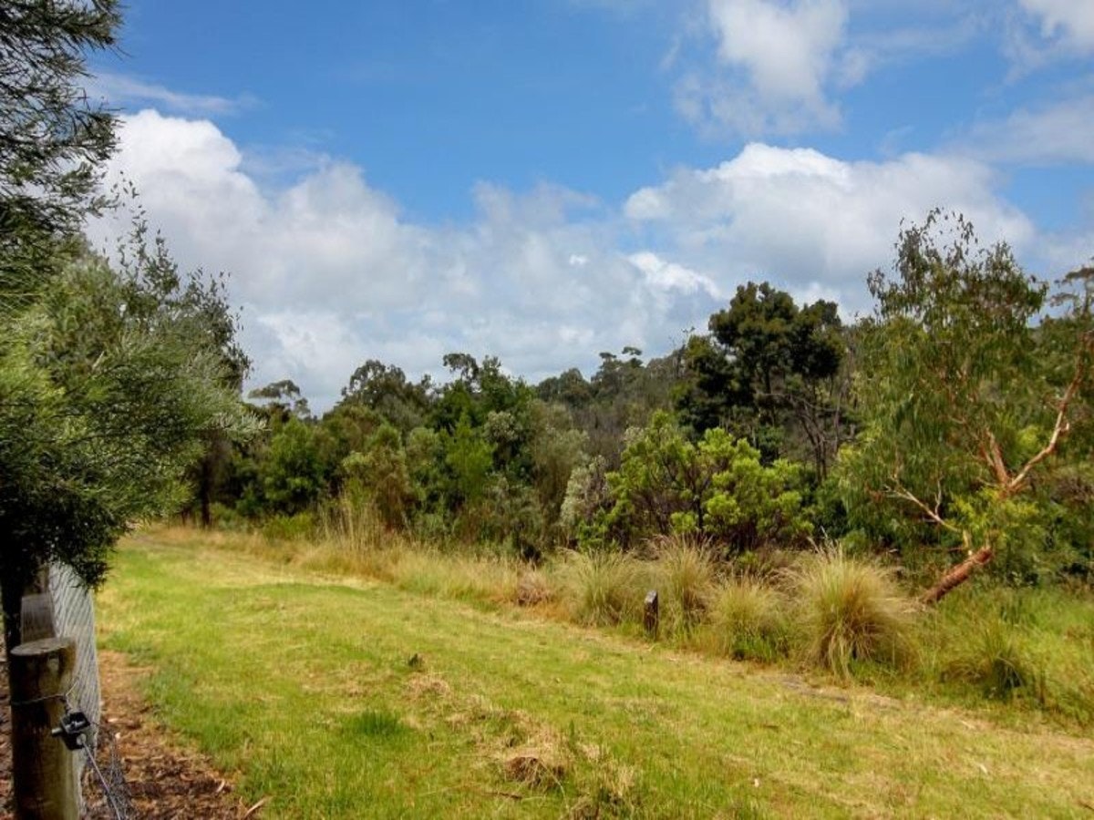 Image of field