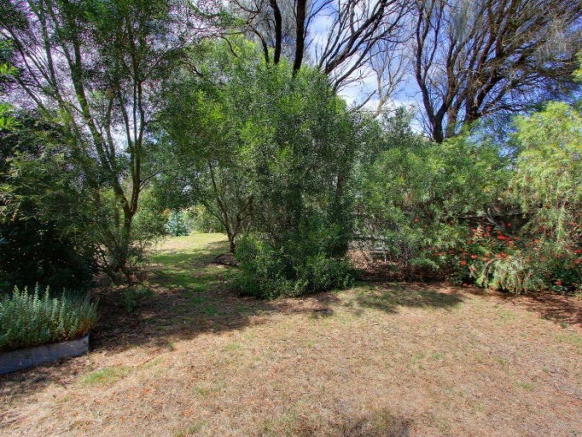 Image of vegetation