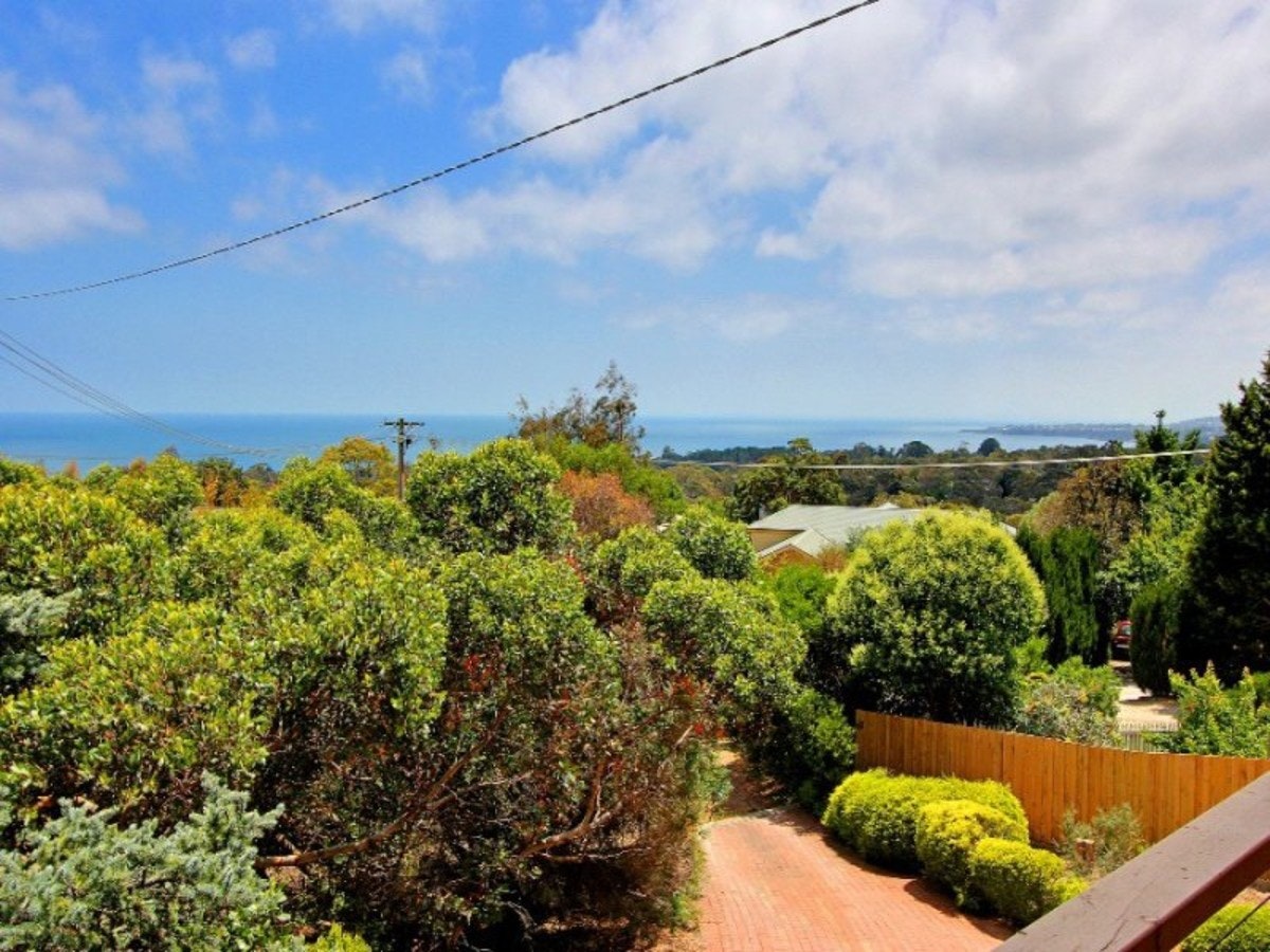 Image of vegetation