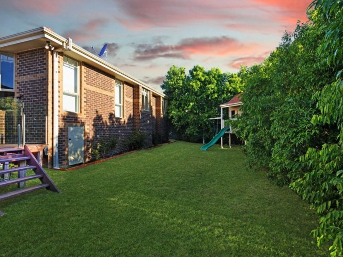 Image of grass