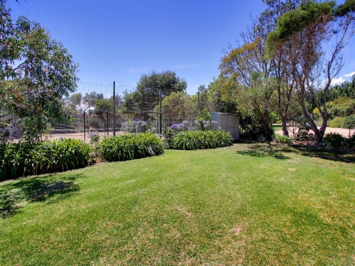 Image of backyard