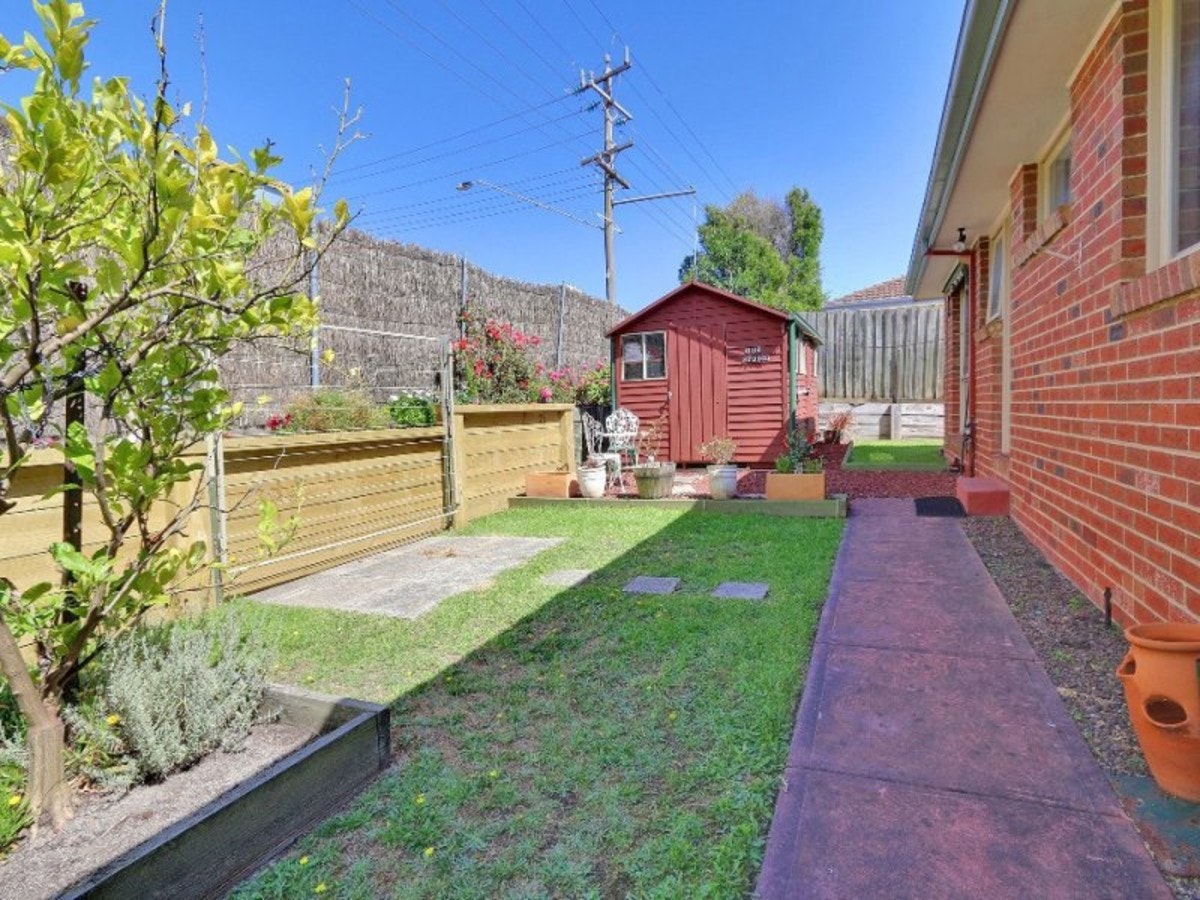 Image of backyard