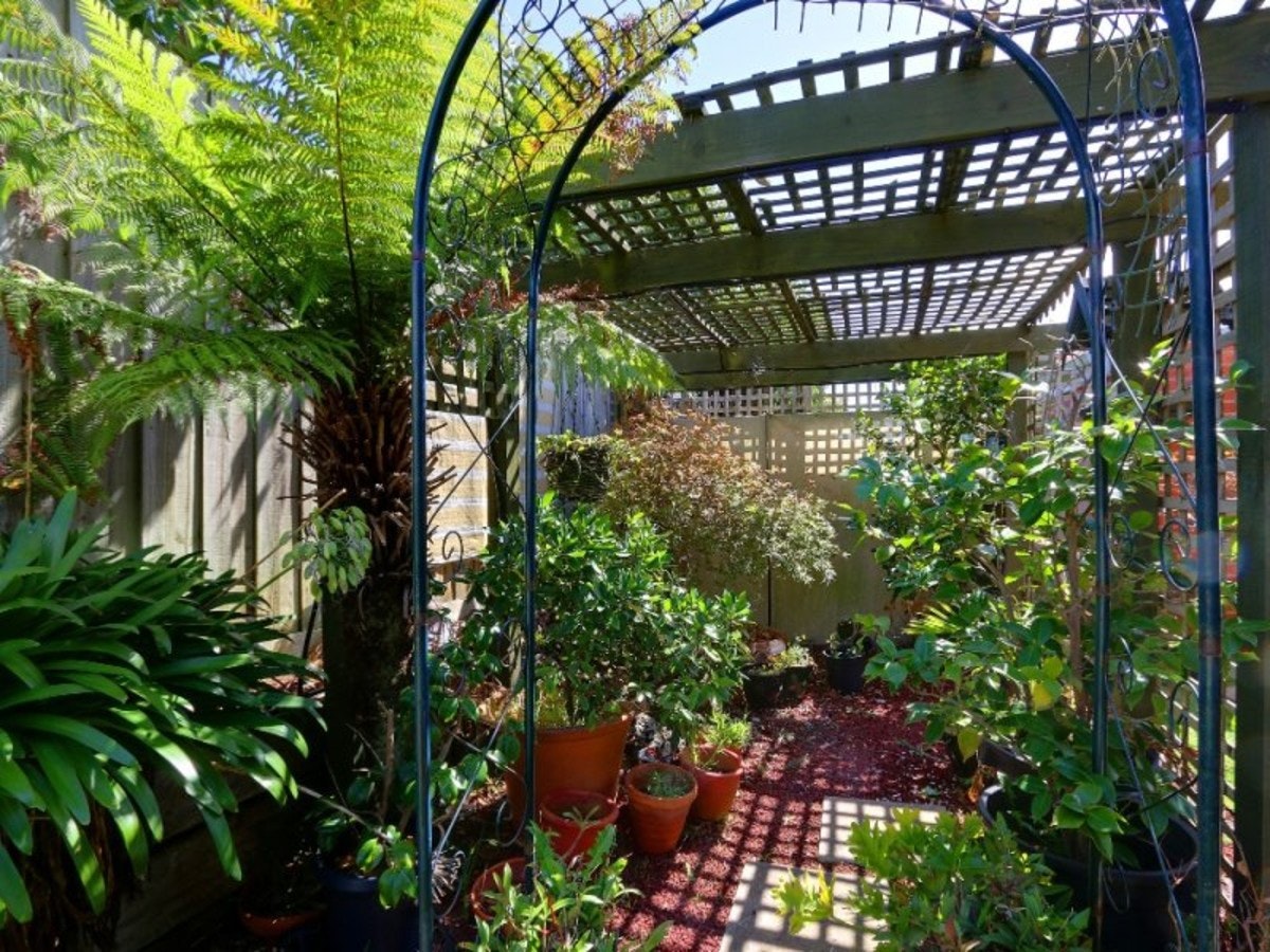 Image of garden