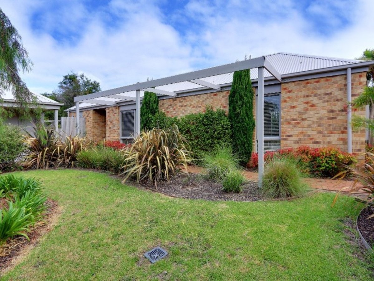 Image of backyard