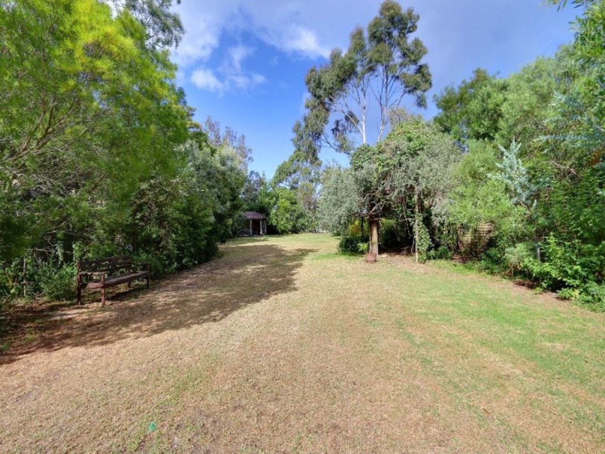 Image of vegetation