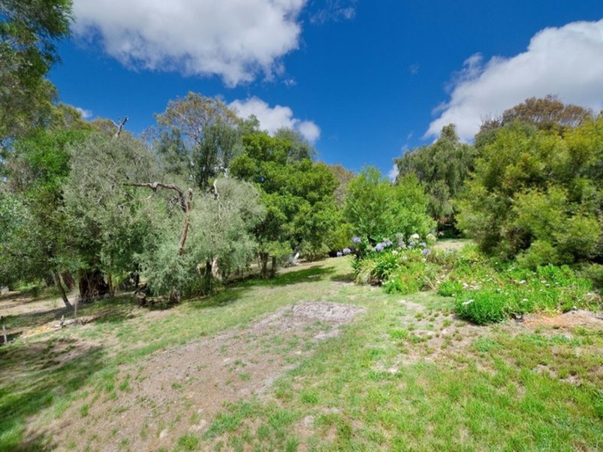 Image of vegetation
