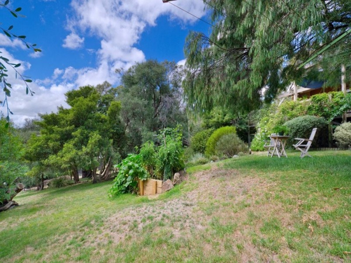 Image of backyard