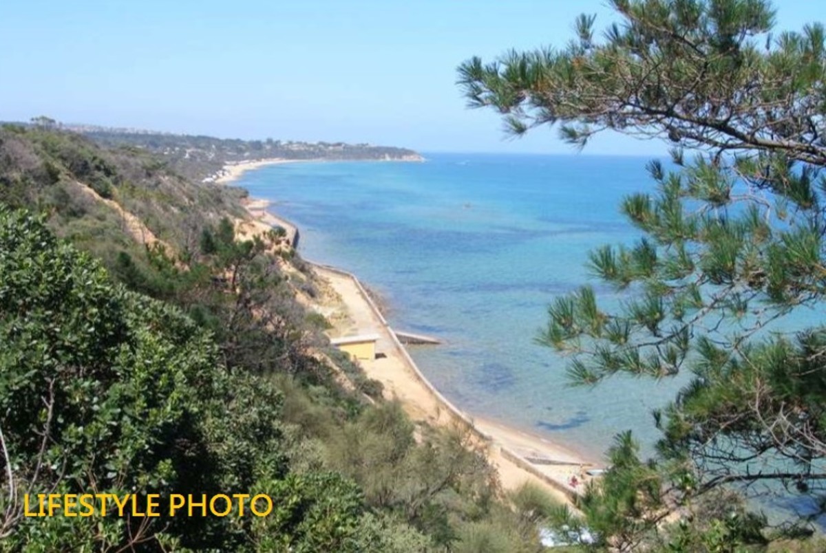 20a Carnoustie Grove, Mornington - Thumbnail 3