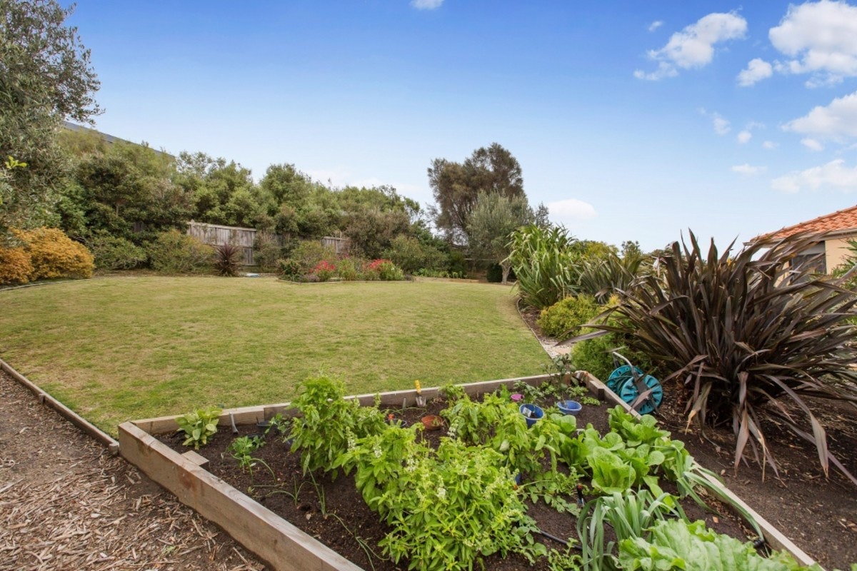Image of backyard