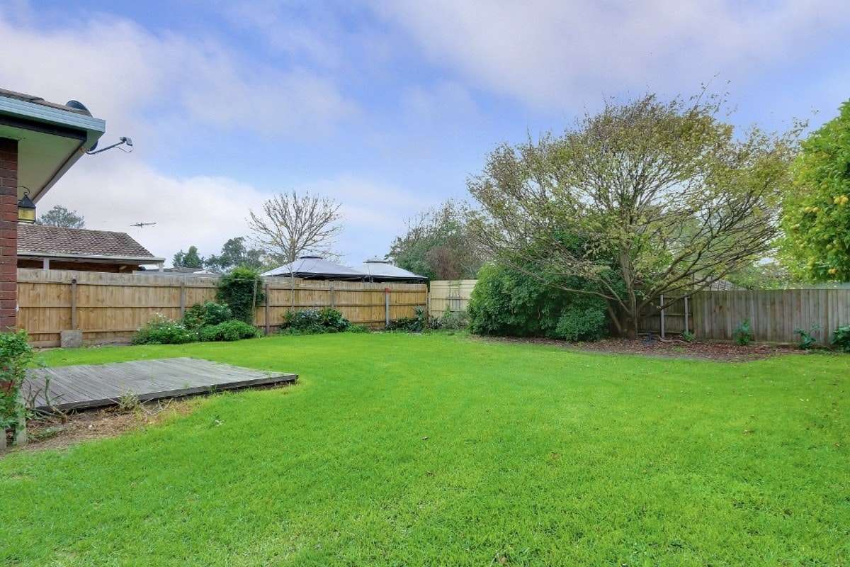 Image of backyard