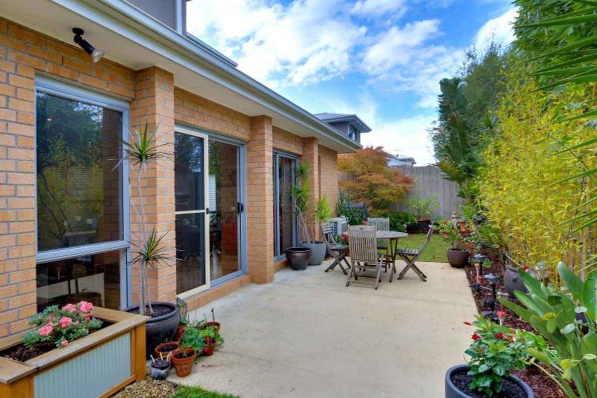 Image of backyard