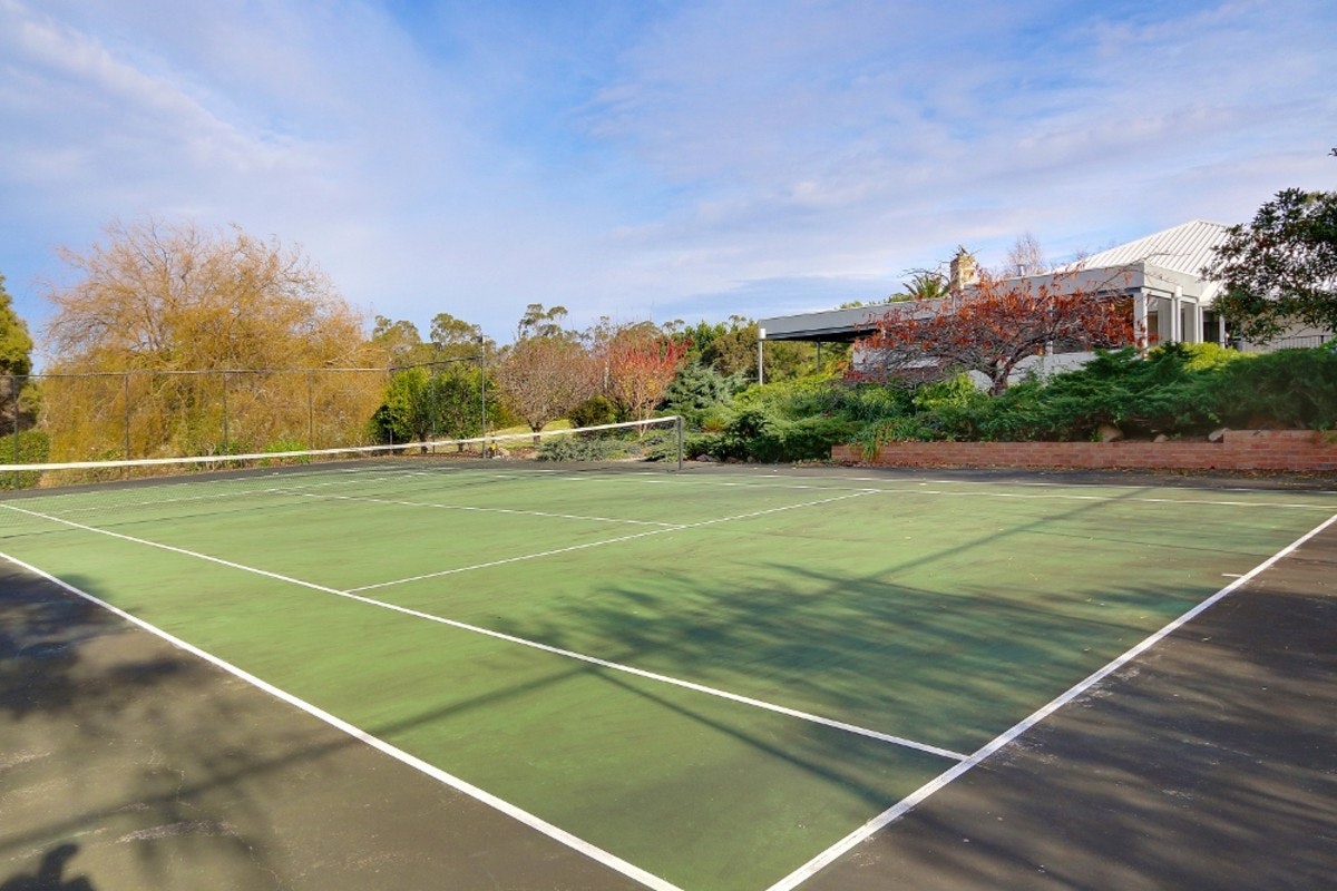 Image of sport