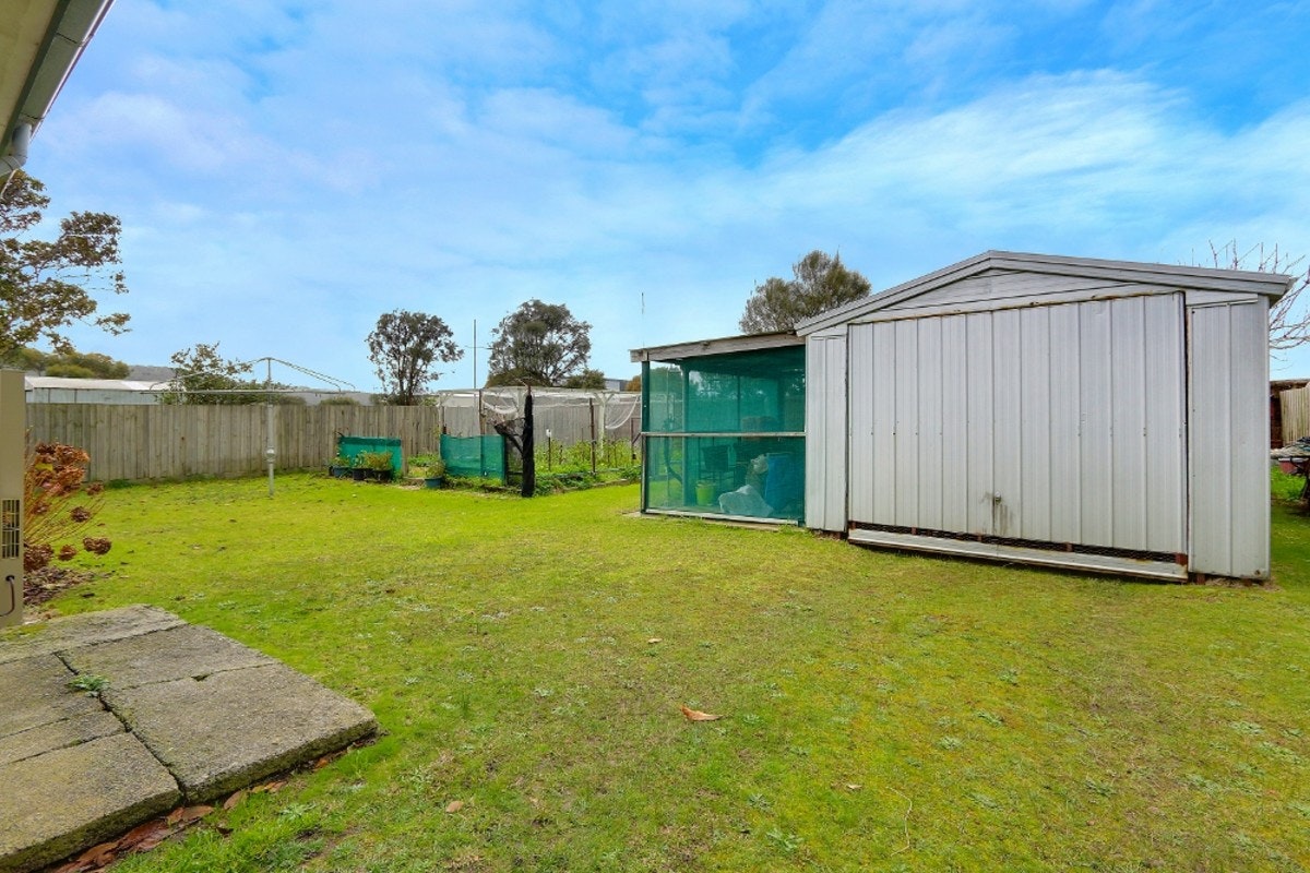 Image of backyard