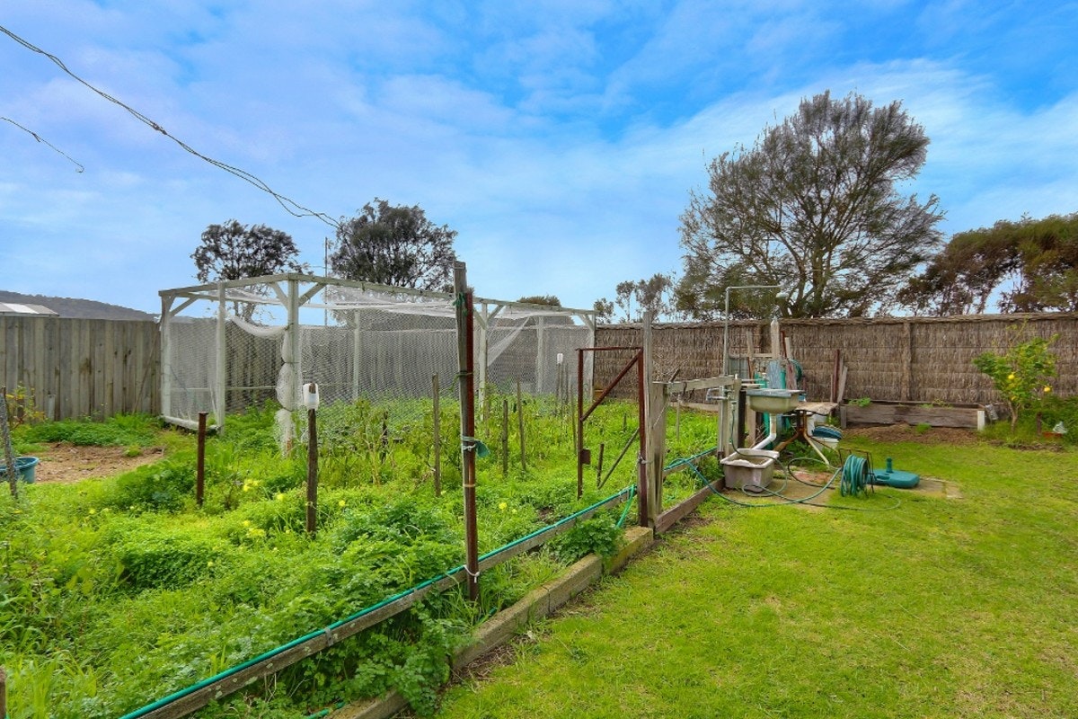Image of backyard