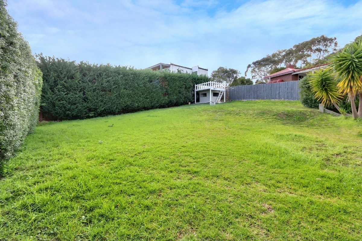 Image of grass