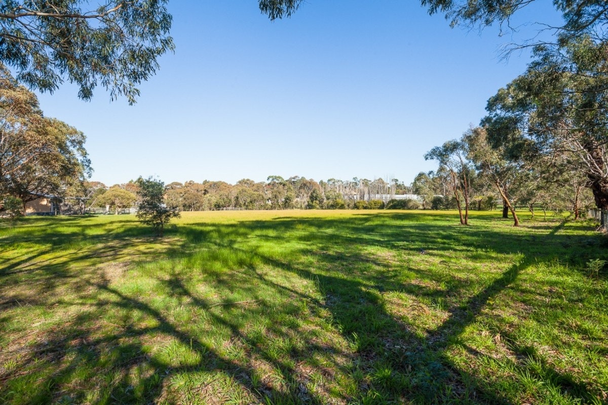 Image of grass