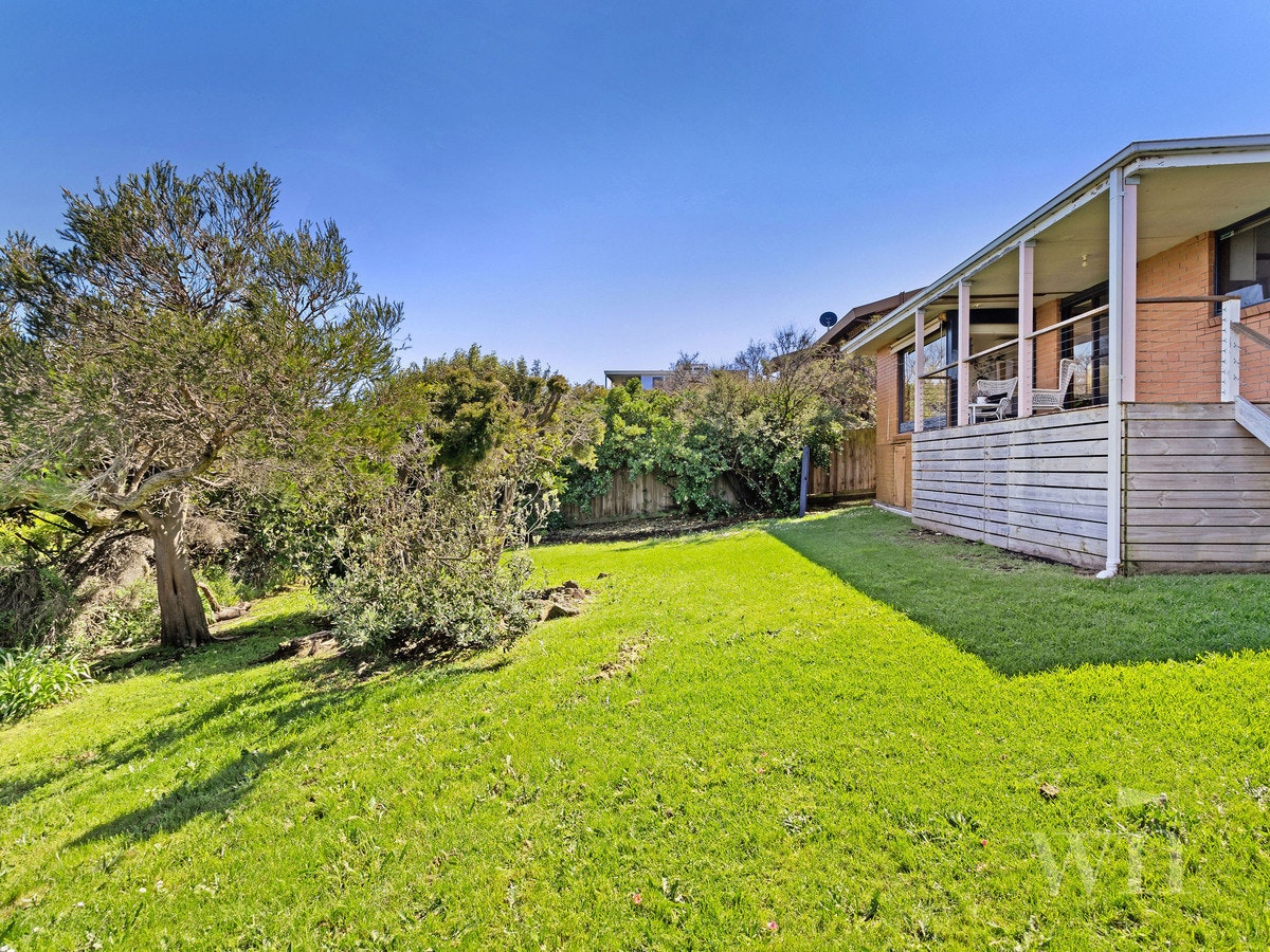 Image of grass