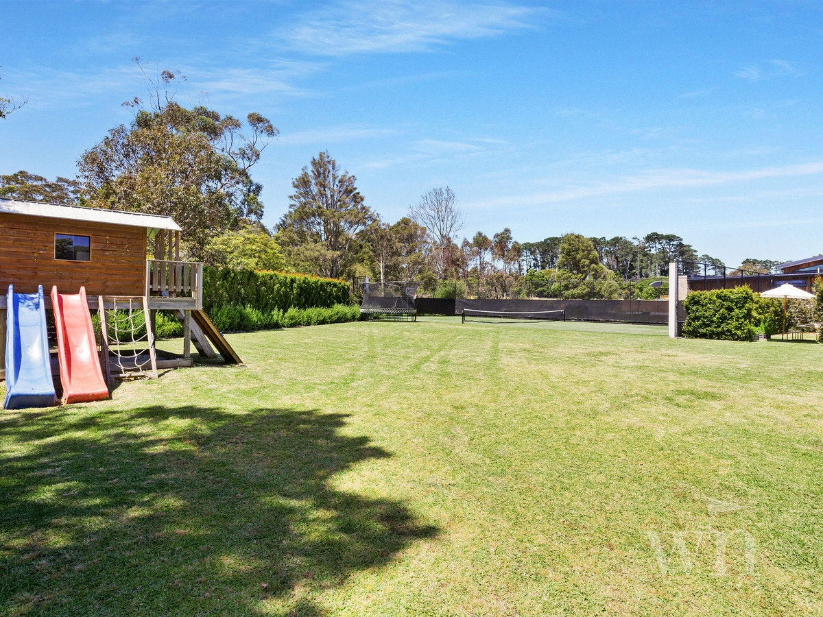Image of grass