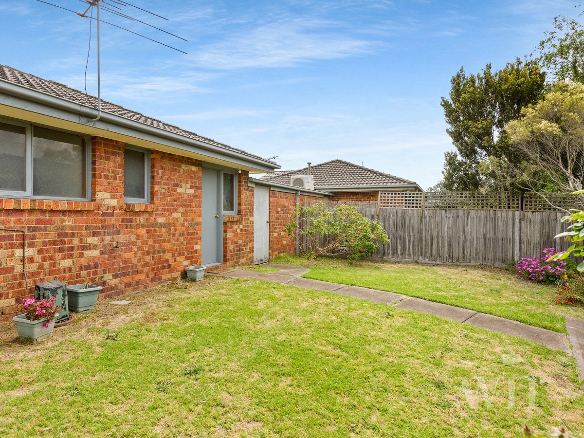 Image of backyard