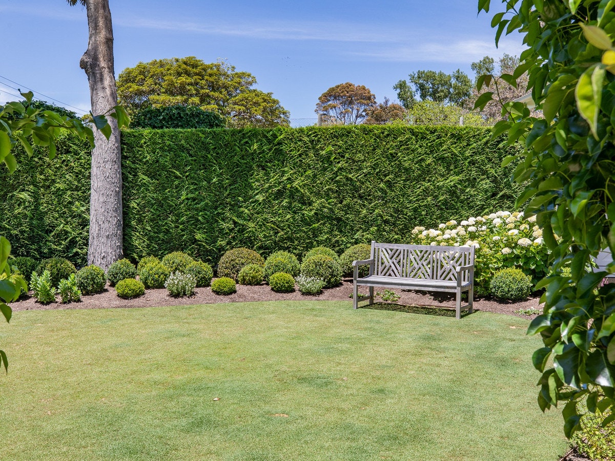 Image of garden