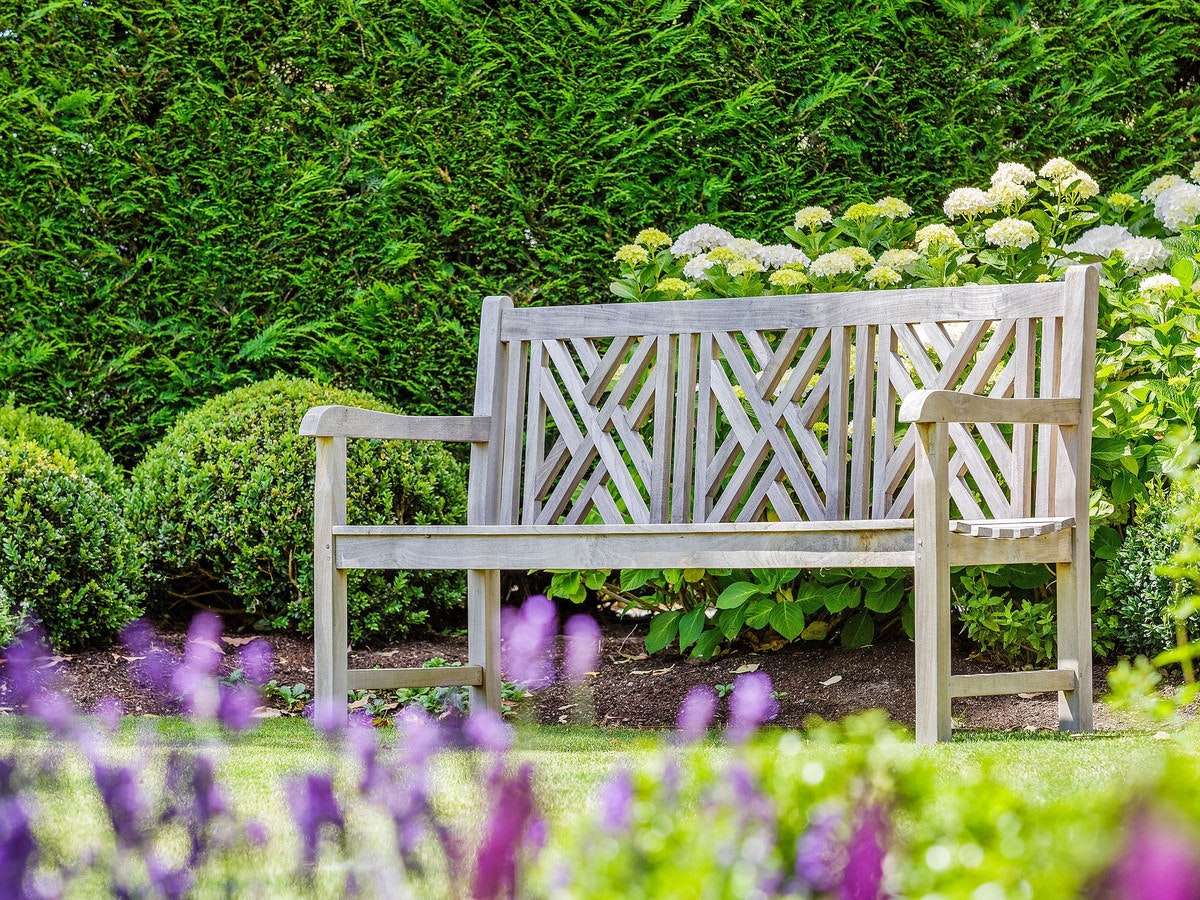 Image of bench