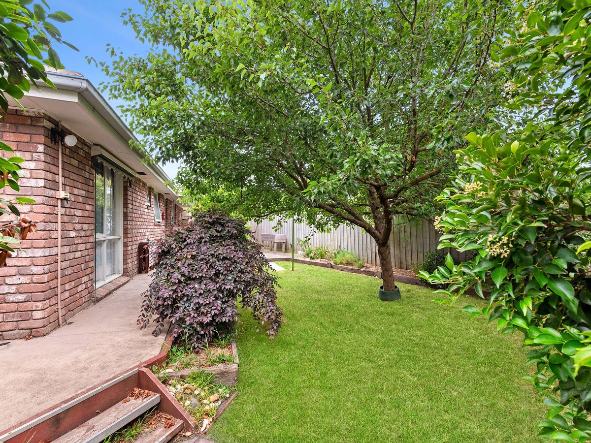 Image of backyard