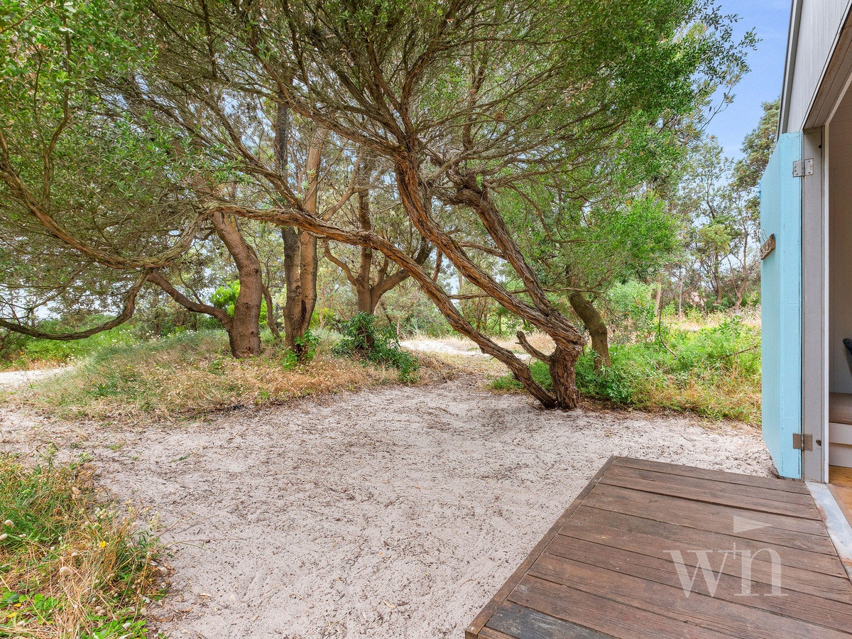Image of backyard