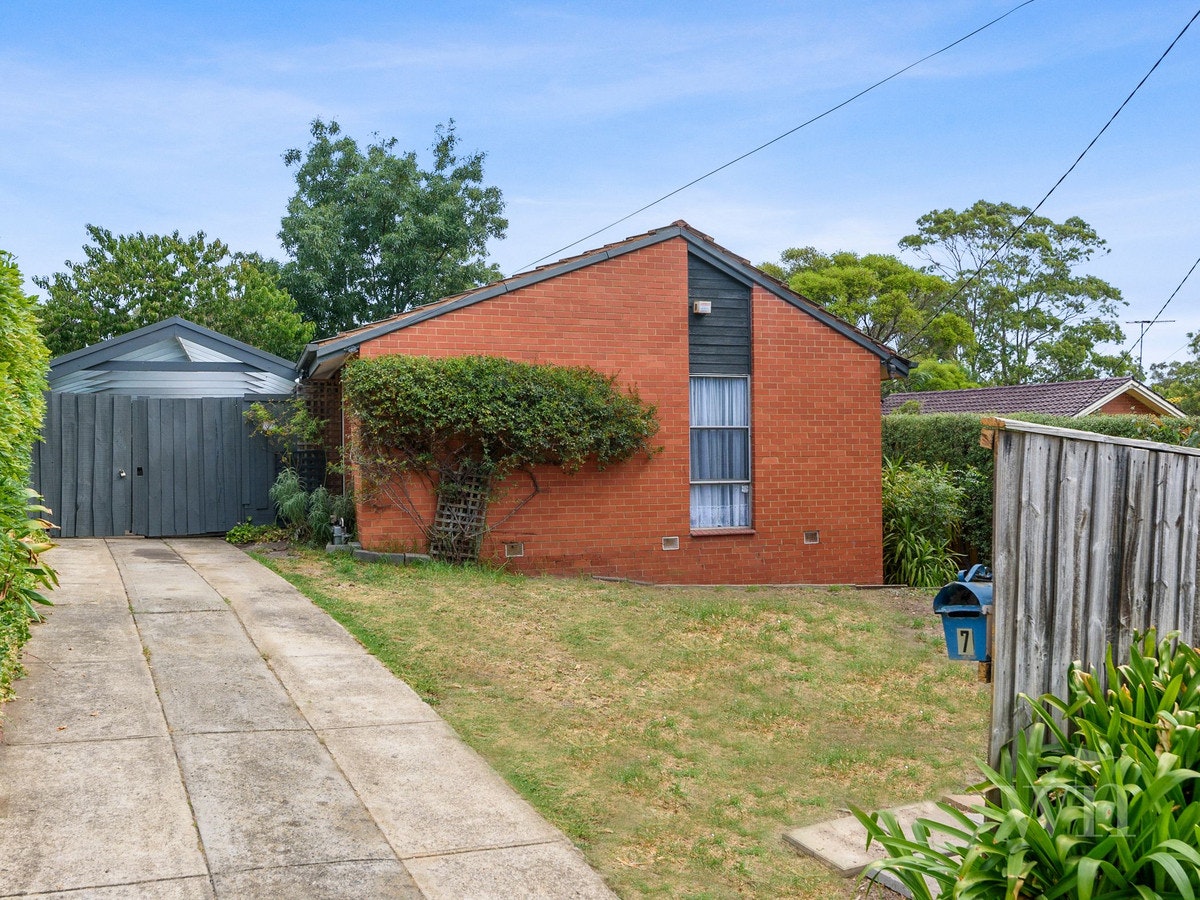 Image of backyard