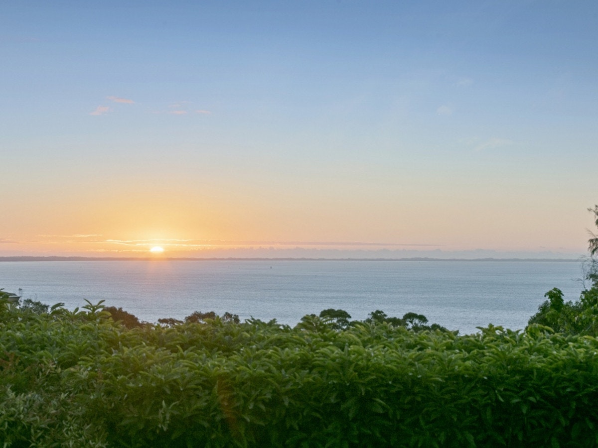 Image of nature